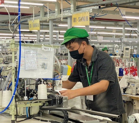 Hình minh họa câu hỏi